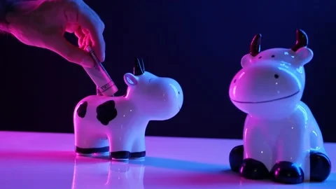 Hand puts a hundred dollar bill in a piggy Bank in the shape of a cow bull in Stock Footage 142924974