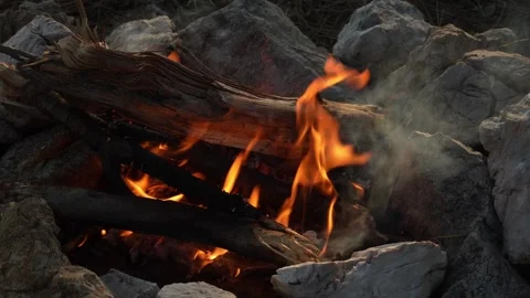 Hand Puts Logs into the Flame of a Burning Fire in Woods. Stock Footage 263748692