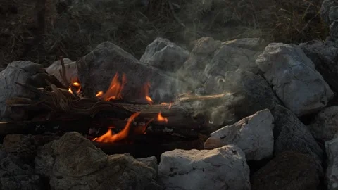 Hand Puts Logs into the Flame of a Burning Fire in Woods. Stock Footage 265856377