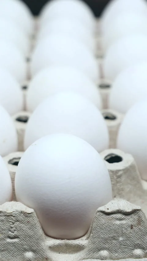 Hand Puts One Brown Chicken Egg From From White Chicken Eggs Packed In Cardboard Stock Footage 267876543