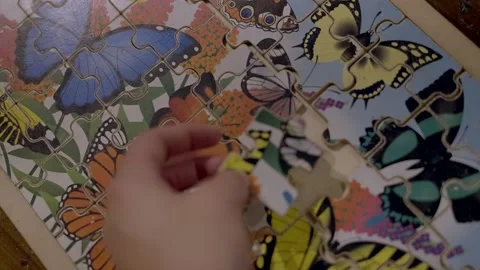 Hand puts puzzle piece on butterfly puzzle Stock Footage 218620071