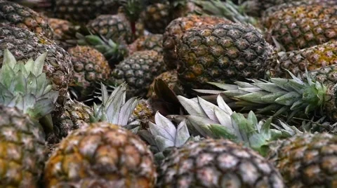 Hand putting fresh Pineapple in Slow Motion Stock Footage 54931884