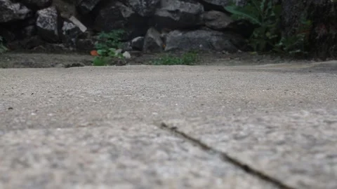 Hand putting out a cigarette on a cement floor. Stock Footage 194959262