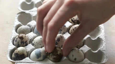 Hand putting quail eggs in the box Stock Footage 67675606