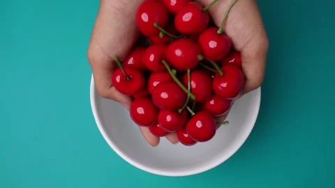 Hand putting in red cherries into white bowl isolated blue background Stock Footage 272563361