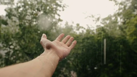 Hand In Rain On Background Of Trees Slow-Mo Stock Footage 80826297