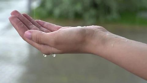 Hand In Rain. Hand get wet in the rain on a blurred background of trees. Slow Stock Footage 77718783