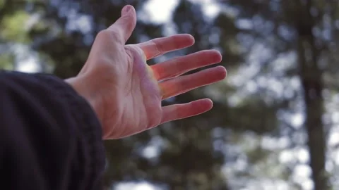 The hand is raised up against the background of blue sky and trees. Stock Footage 153317256