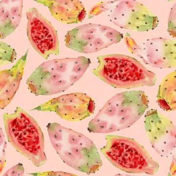 Hand rawn watercolor illustration semless pattern of opuntia ficus indica fruit Stock Illustration