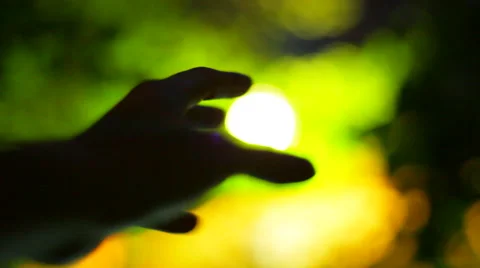 Hand reaches for the light Stock Footage 50634429