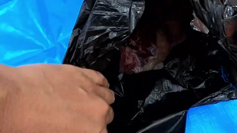Hand reaching into a black plastic bag with raw meat for satay Stock-Footage 279342055