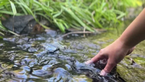 Hand reaching into clear mountain stream Stock Footage 329319898