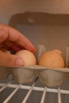 Hand reaching for eggs in a carton Photos