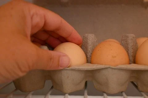 Hand reaching for eggs in a carton Photos