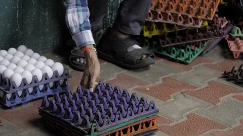 Hand reaching for eggs in a vibrant outdoor market Stock Footage 320879892