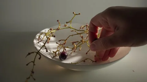 Hand Reaching for Grapes in a Minimalist Scene Stock Footage 302172152