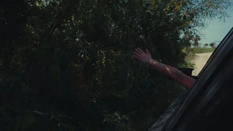 Hand reaching out of a car window towards nature Stock Footage 304684863