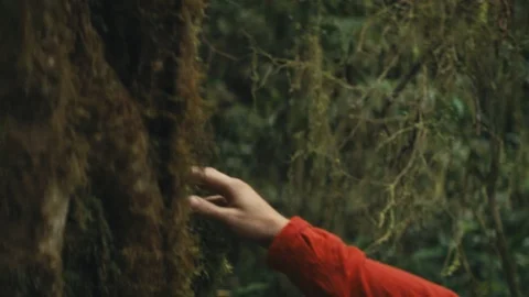 Hand reaching out to touch moss and nature with red jacket Vídeos de archivo 89994872