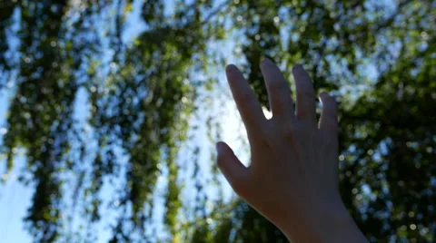 Hand reaching the sun ray with leaf background Stock Footage 68064247
