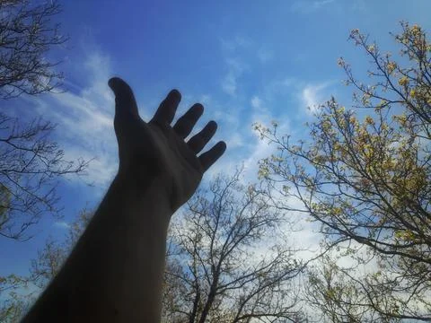 Hand Reaching Toward the Sky 스톡 사진