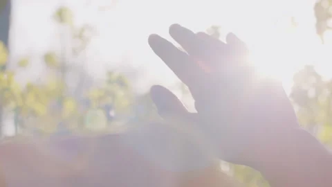 Hand Reaching Up Towards Bright Sunlight Through Green Trees Vídeos de archivo 334840449