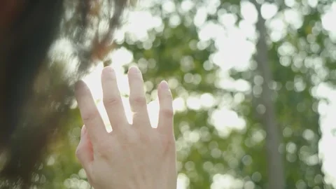 Hand Reaching Up Towards Sunlight Through Blurred Green Trees 库存影片 334639546