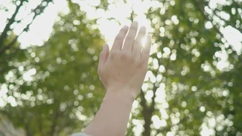 Hand Reaching Up Towards Sunlight Through Blurred Green Leaves Vidéo 334639576