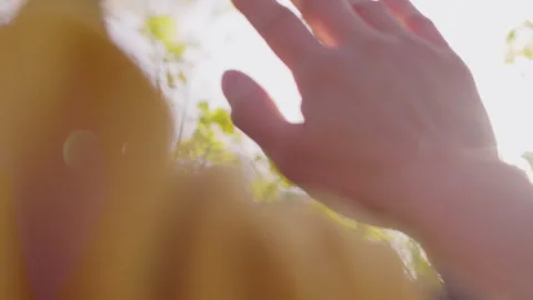 Hand Reaching Up Towards Sunlight Through Blurred Green Leaves Vidéo 334840514
