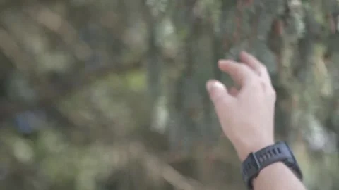 HAND REACHING FOR TREE BRANCH Stock Footage 138480851