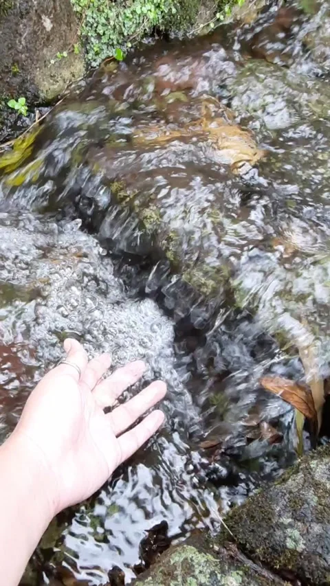 Hand Reaching for Water in Rocky Stream Vídeo Stock 331420114