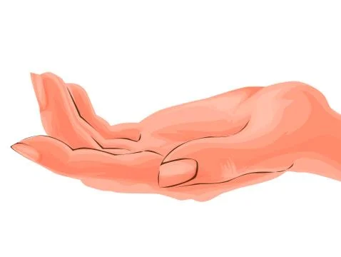 Hand realistic vector. Illustration isolated. Stock Illustration