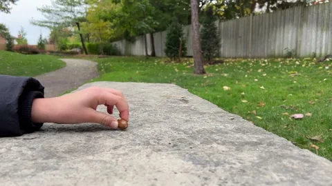 A hand releases a small item onto a stone surface in a serene park filled with Stock Footage 329357399