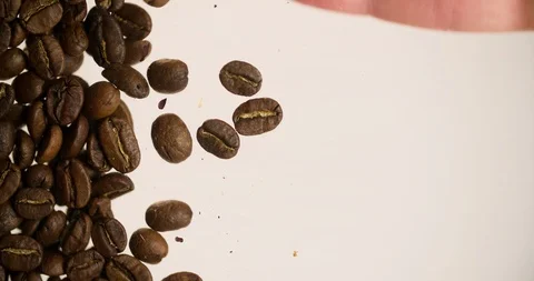 Hand removing coffee beans for Copyspace Coffee Background bottom view 4K Stock Footage 103642183