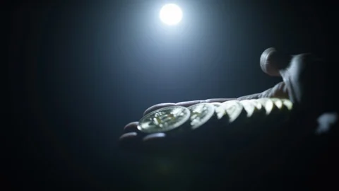 A hand reveals a pile bitcoin in partial silhouette. Bitcoin isolated on a hand. Stock-Footage 117799757