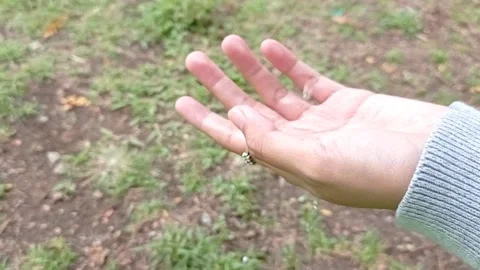 A hand with a ring on a grass background Stock Footage 146246703