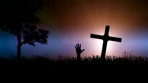 Hand rising from a gravesite Stock Footage 345372070