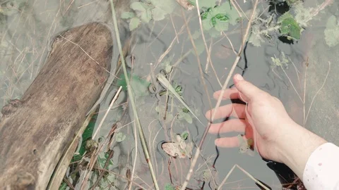 Hand in a river Stock Footage 109224015