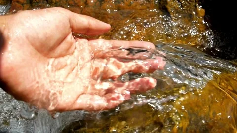 Hand in river mountain Current of clean spring flow over stones overgrown wit Stock Footage 270407152