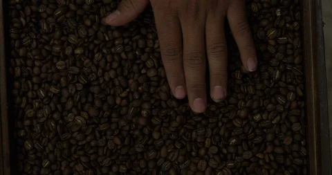 Hand on roasted coffee beans RED 4K  slow motion Stock Footage 102694368