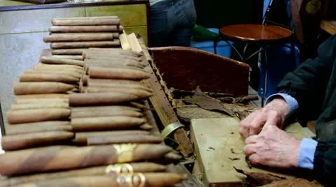 Hand-rolled cigars -Miami Video stock 21761757