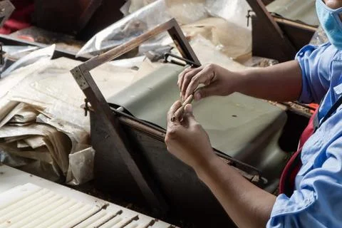 Hand rolling cigar. cigar making process Stock Photos