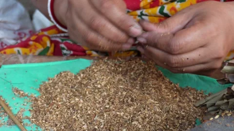 Hand Rolling Tobacco Stock Footage 336689969
