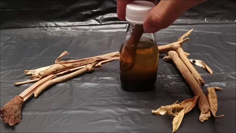 Hand Rotating Dark Poison Potion Bottle with Tree Stem Submerged Stock Footage 344924292