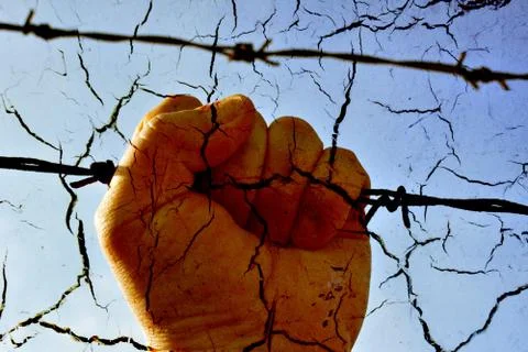 Hand on rusty barbwire Stock Illustration