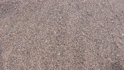 Hand in the sand Stock Footage 132361286