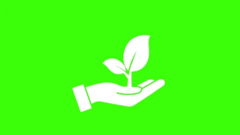 Hand save plants 4k green screen animated icon hand save environmental heal.. Stock Footage 301695688