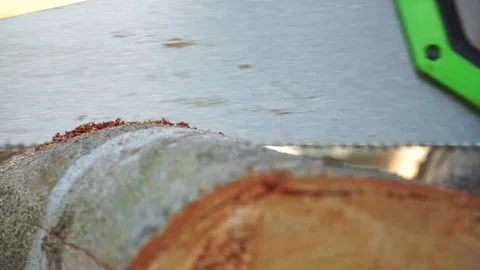 Hand saw blade cutting through wood log, close up view, sawdust flying, Stock Footage 345288821
