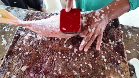 Hand Scaling Fresh Red Snapper on Weathered Wood at Coastal Pier Stock Footage 334640481
