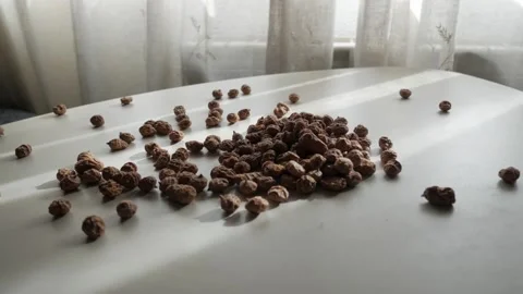Hand Scattering Dried Tiger Nuts on White Table in Sunlit Indoor Setting Stock Footage 336482215