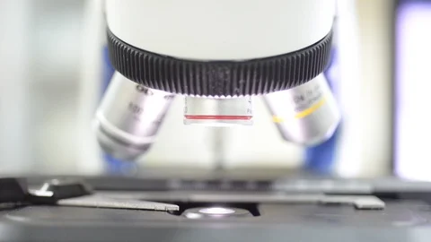 Hand scientis using microscope in laboratory. Stock Footage 105855994